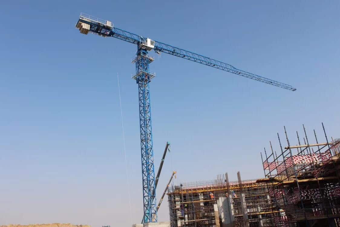Руководство МГК “Вирамакс” получило специальные условия для импорта башенных кранов из Китая